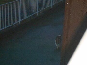 5月10日（75）仮