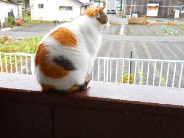 10月19日（9）仮