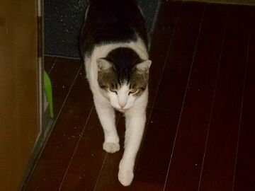 9月16日（21-7）仮