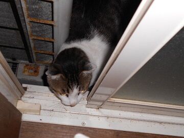 10月7日（23-21）仮