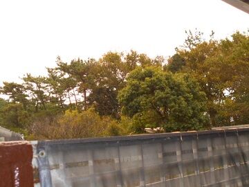 11月24日（1）仮