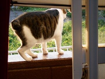 9月17日（5-15）仮