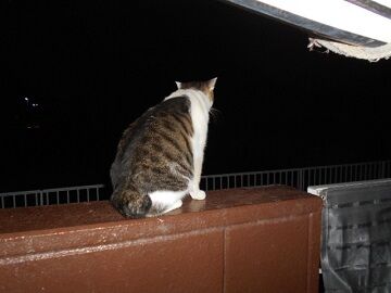 9月23日（22-9）仮