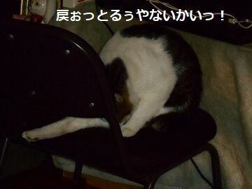 9月20日（6-2）仮