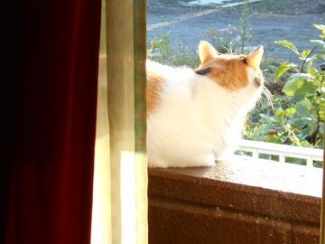 9月15日（28）仮