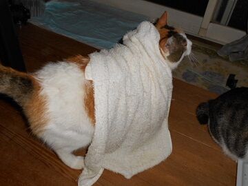 9月18日（47）仮