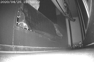 4月25日（44）仮