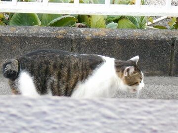 9月27日（13）仮