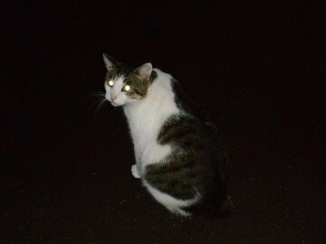 9月21日（5-14）仮