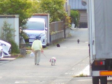 5月6日(8)仮