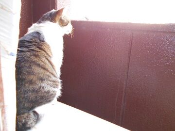 5月28日（22）仮