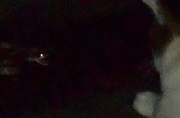 6月22日（22）仮 - コピー