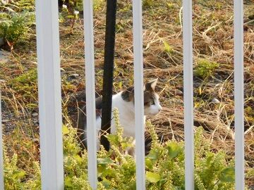 10月2日（6-7）仮