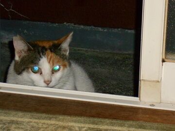 9月16日（5-2）仮