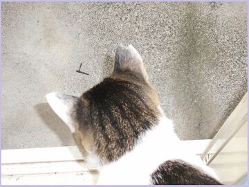 9月16日（11）仮