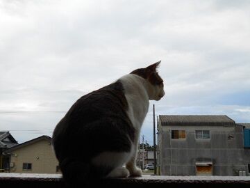 10月14日（3）仮