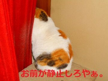 4月12日（40）仮