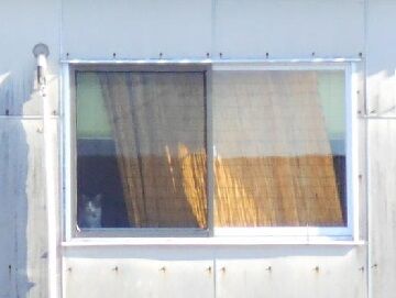 12月20日（8）仮