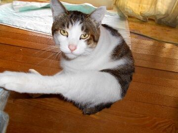 12月31日（10）仮