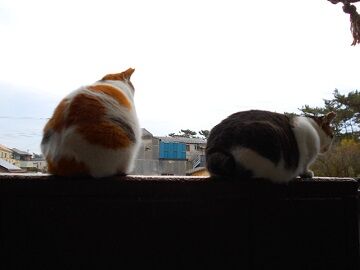 12月22日(23)仮