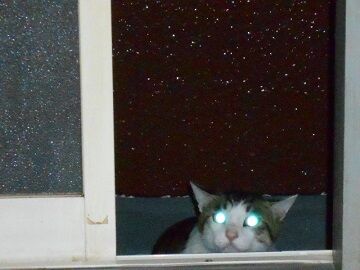 6月24日（46）仮