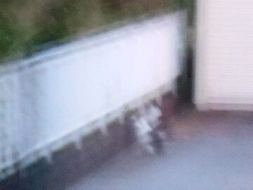 6月21日（37）仮