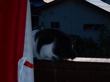 9月17日（5-9）仮