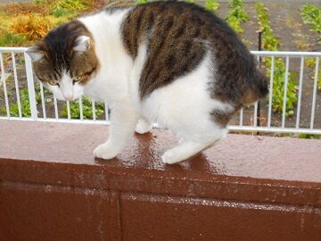 12月23日（8）仮