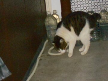 12月29日（13）仮