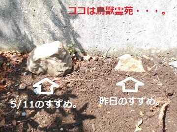 6月23日（30）仮