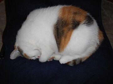 9月29日（6-2）仮