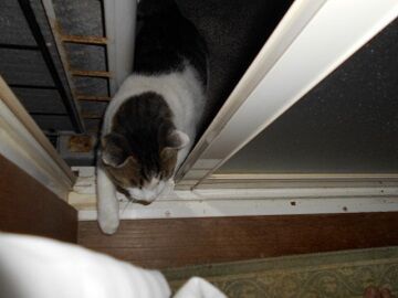 9月24日（5-1）仮