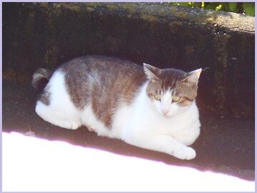 6月13日（24）仮