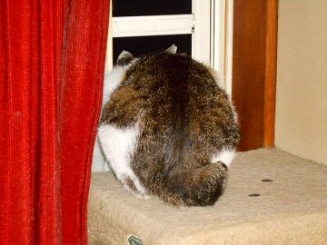 5月13日（60）仮