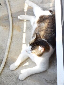 5月23日（42）仮