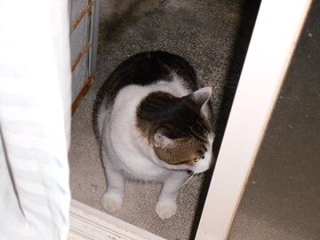 10月7日（23-17）仮