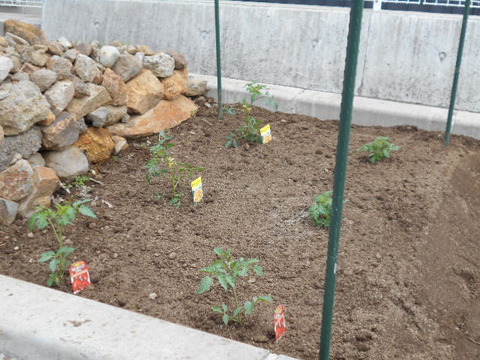 DSCN1036