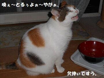 9月25日（6-10）仮