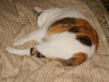 8月30日（39）仮