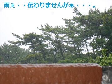 6月25日（25）仮