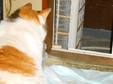 5月23日（52）仮