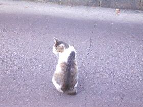 6月16日（28）仮