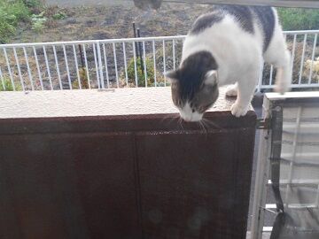 10月2日（6-2）仮