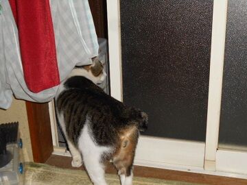 10月1日（5-5）仮