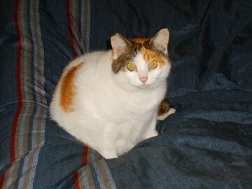 12月24日（25）仮