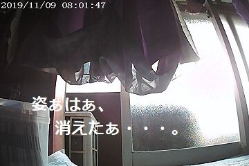 11月9日(20)仮