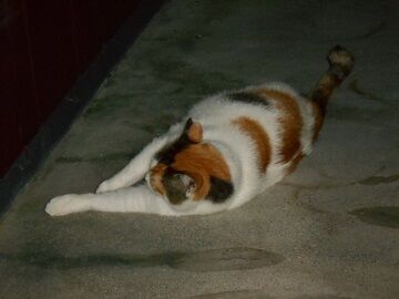 9月24日（19-8）仮