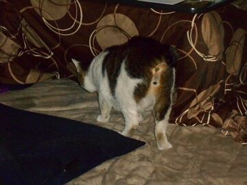 6月25日（47）仮