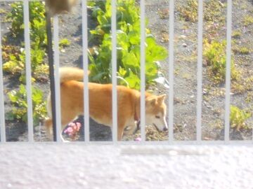 2月25日(13)仮