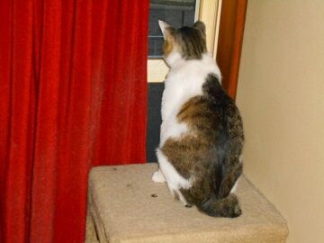 5月28日（65）仮